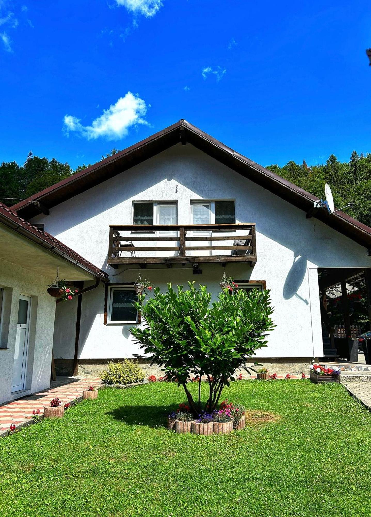 Cîrţişoara Casa Popa'S酒店 外观 照片